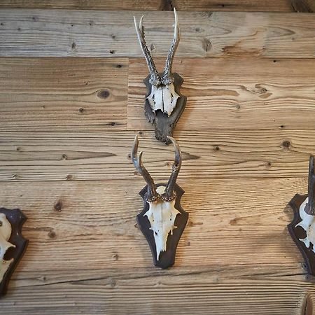 Glemm Lodge Apartments - Joker Card Im Sommer Inklusive Saalbach-Hinterglemm Zewnętrze zdjęcie